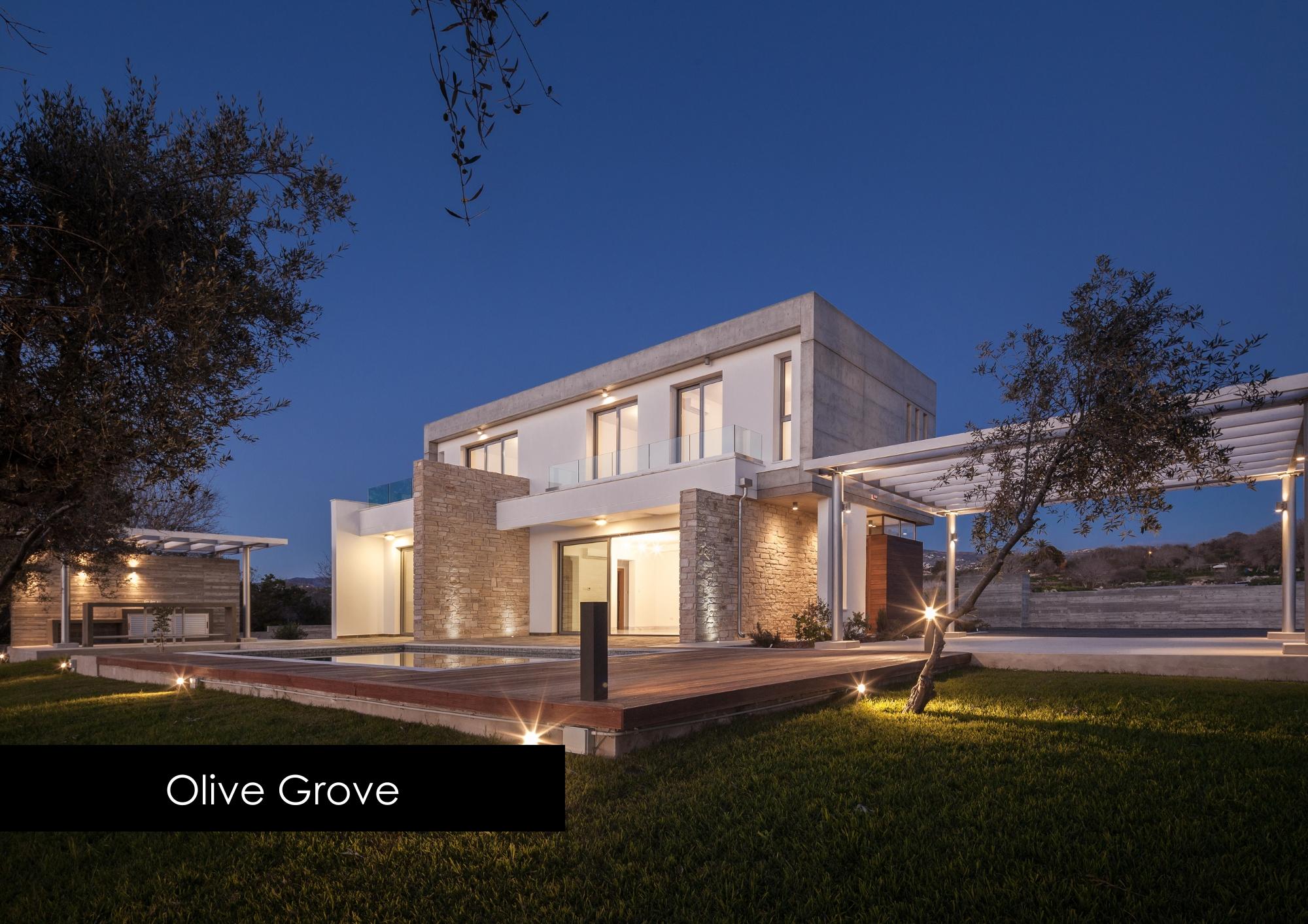 Olive Grove